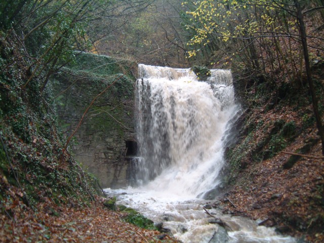  Image name: DSCF2008.JPG 
 width: 640 pixel 
 height: 480 pixel 
 Size: 119390 bytes 
 Click to enlarge 